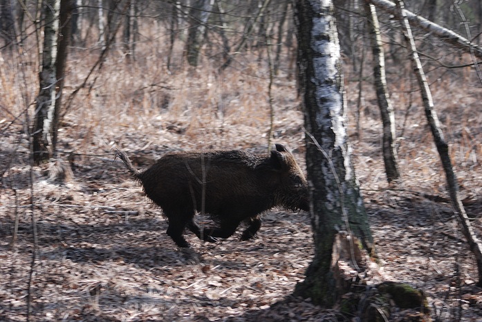 DSC_0353.JPG