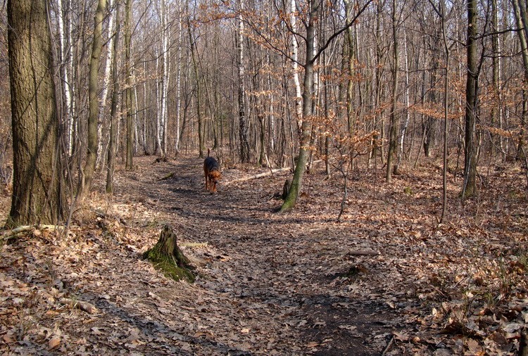 DSC02271_zmień nazwę.JPG