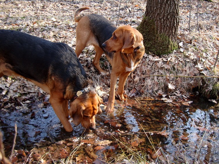 DSC02266_zmień nazwę.JPG