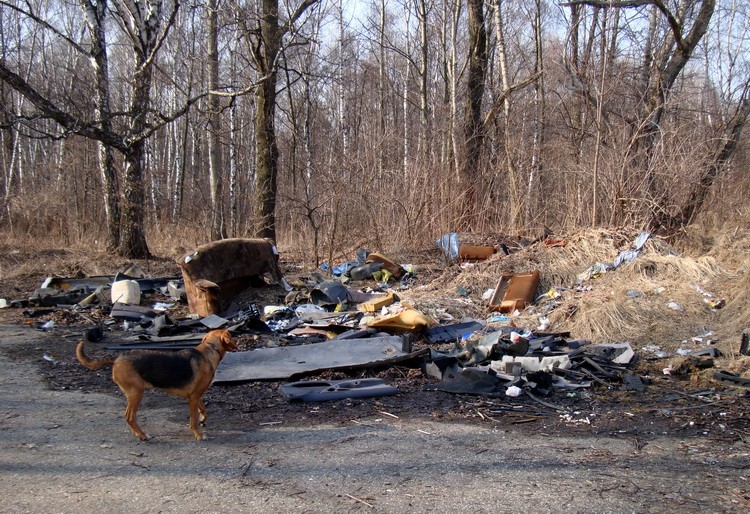 DSC02256_zmień nazwę.JPG