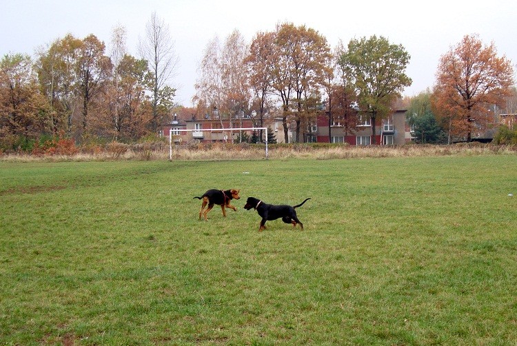 dsc07717b.jpg