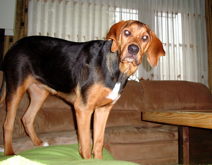dsc07625z.jpg