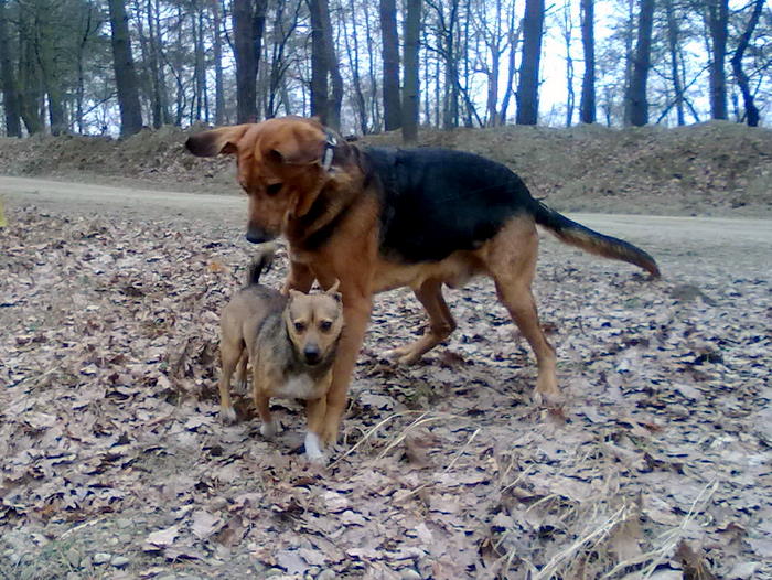 201202271890.jpg