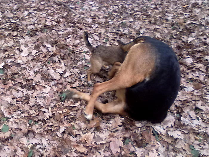 201202271879.jpg