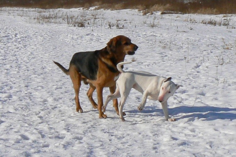 grrrrrrr……  :zly3:
