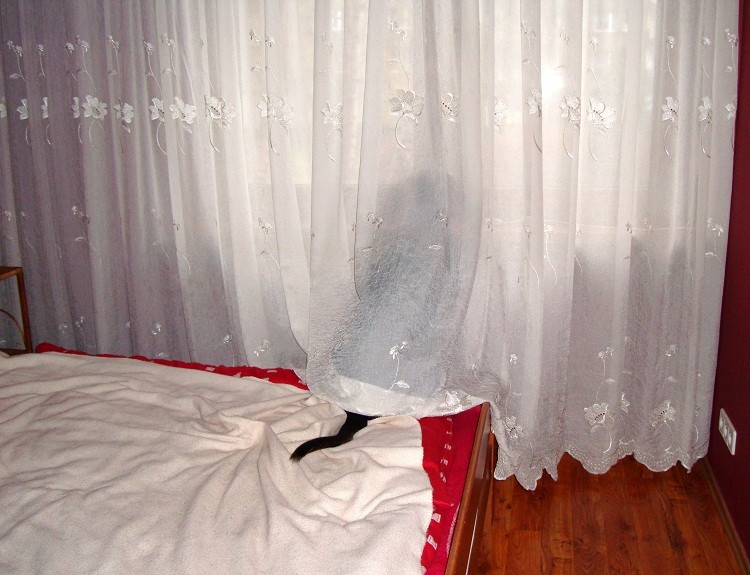 dsc07878m.jpg