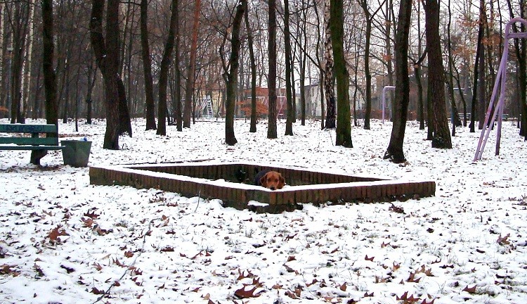 dsc08270.jpg
