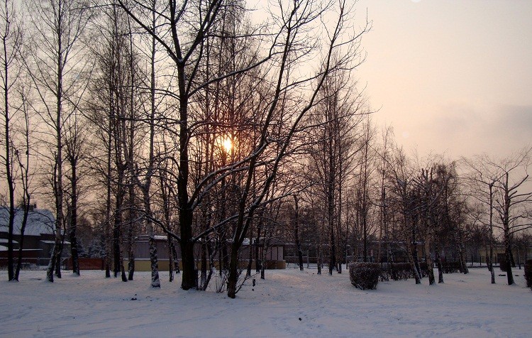 dsc08332a.jpg