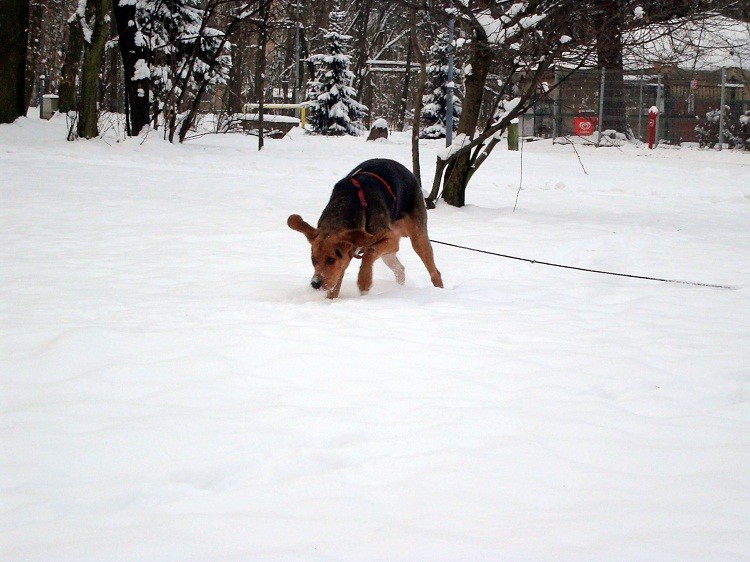 dsc08416e.jpg