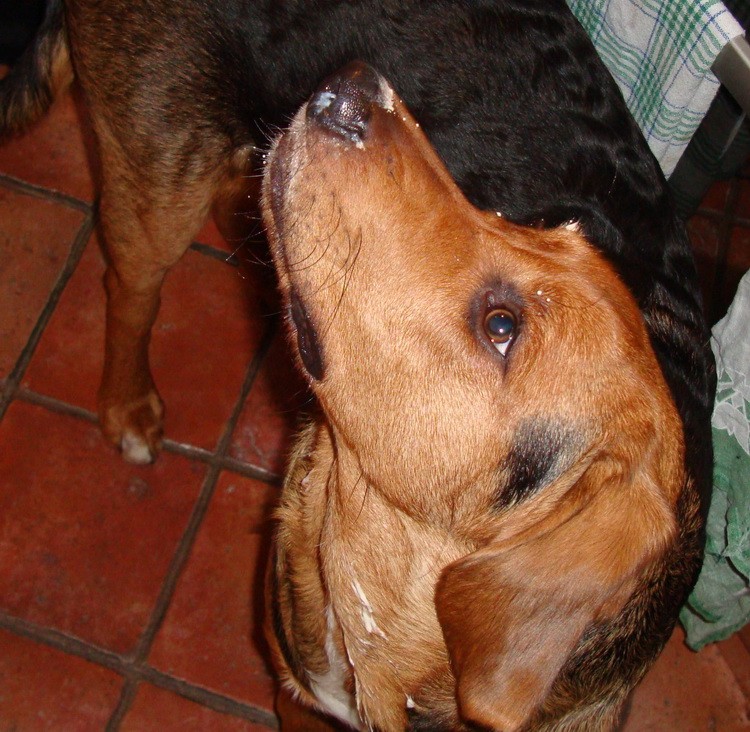 dsc08539o.jpg