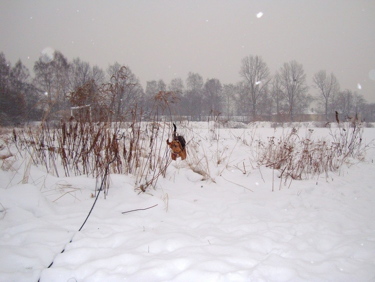 dsc08695resize.jpg