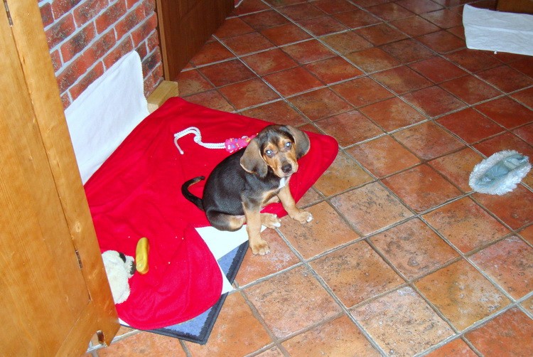 dsc05821resize.jpg