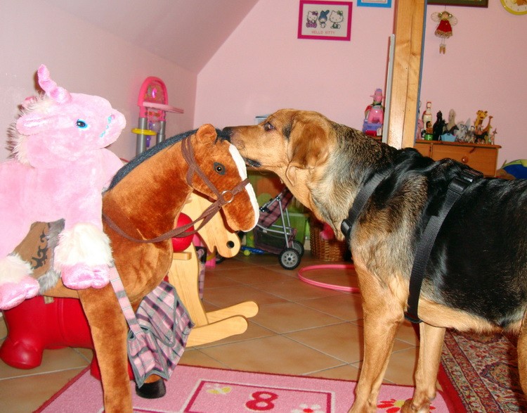 dsc08744resize.jpg