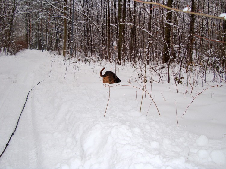 dsc08755resize.jpg