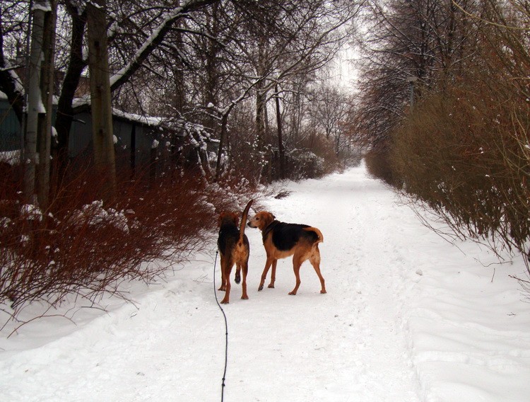 dsc08811resize.jpg