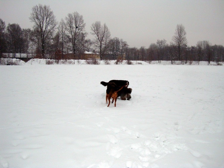 dsc08820resize.jpg