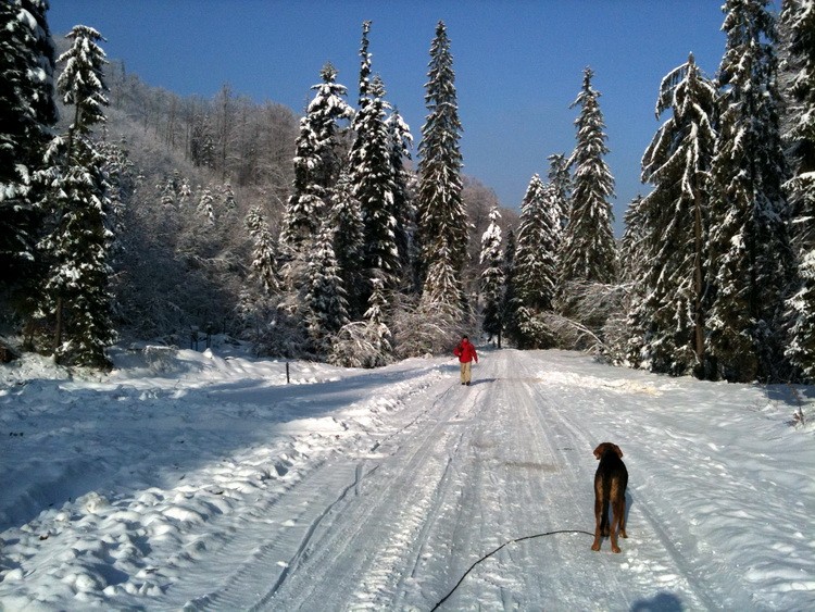 img0131resize.jpg