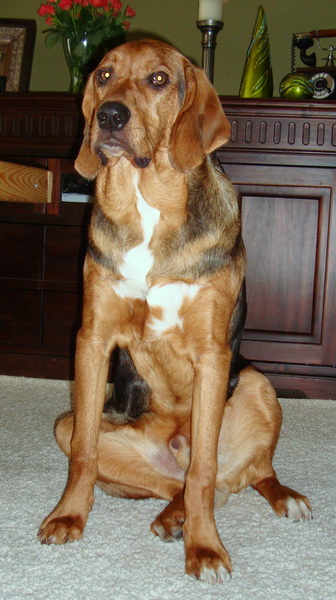 dsc09021resize.jpg