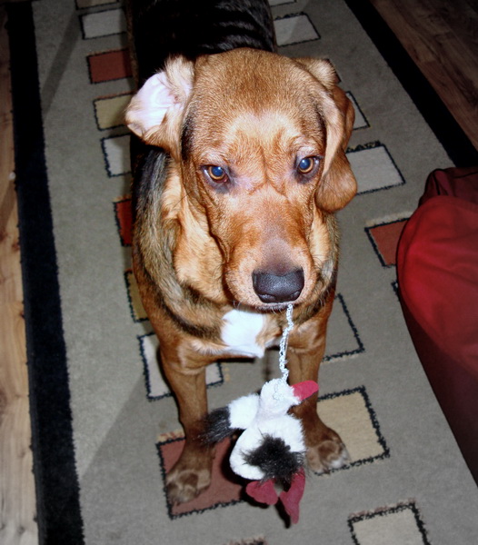 dsc09026resize.jpg