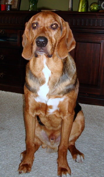 dsc09018resize.jpg