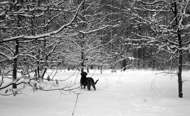 dsc09030resize.jpg