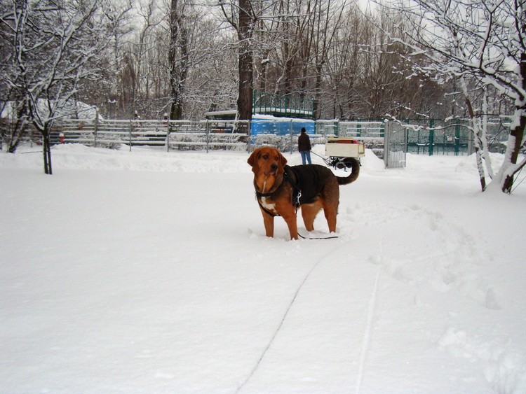 dsc09044resize.jpg