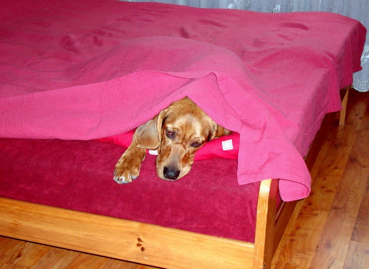 dsc09047resize.jpg