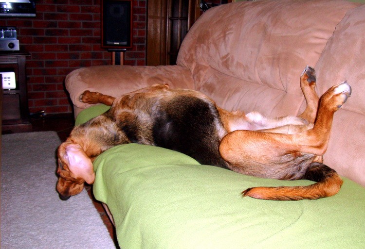 dsc09055resize.jpg