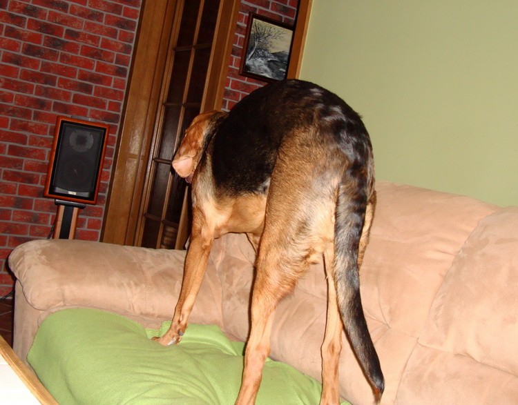 dsc09056resize.jpg