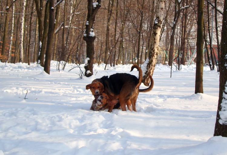 dsc09067resize.jpg