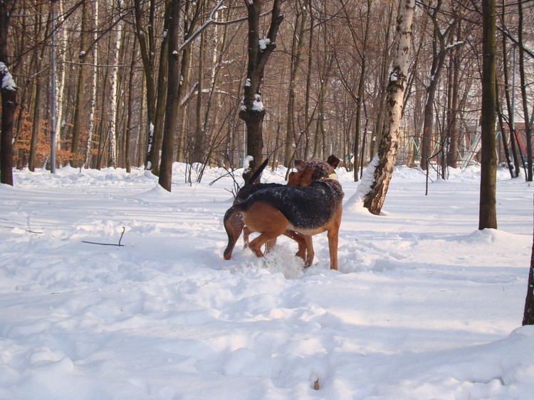 dsc09069resize.jpg