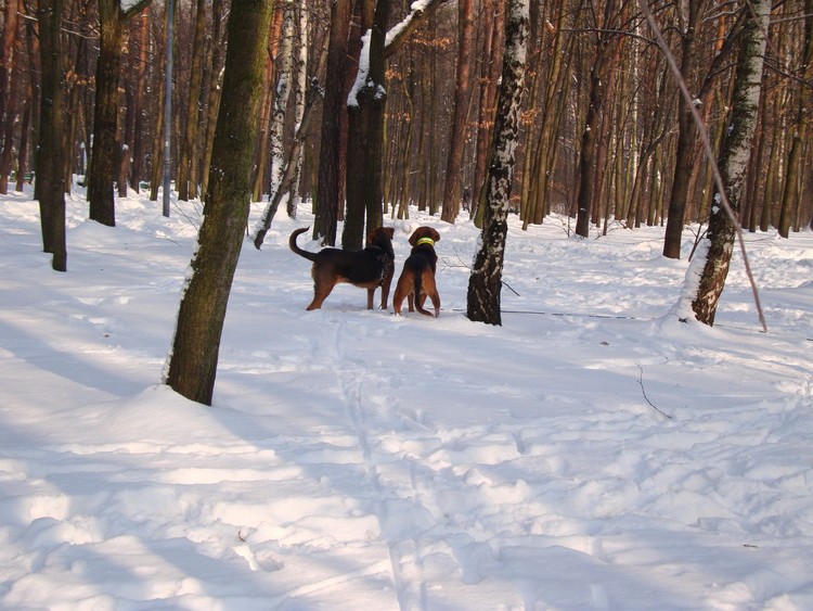 dsc09072resize.jpg