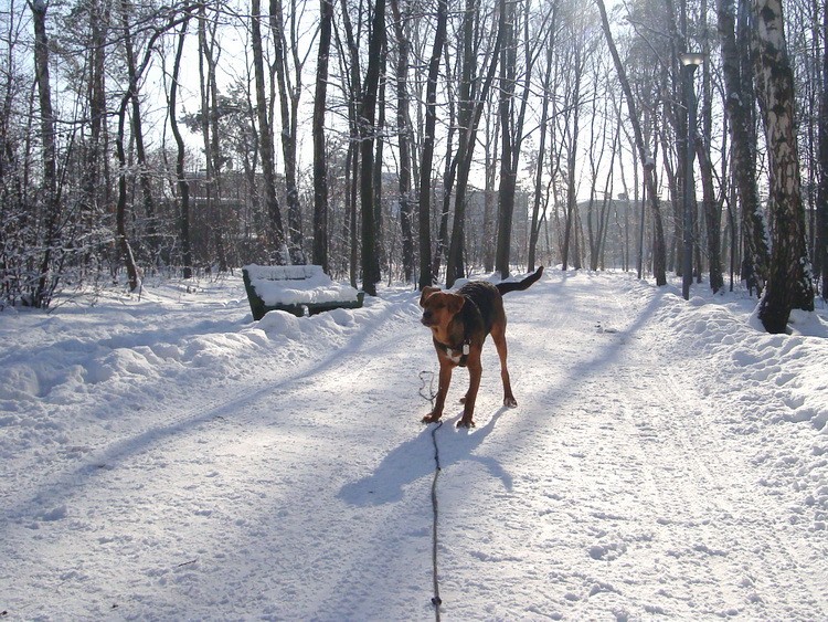 dsc09118resizek.jpg