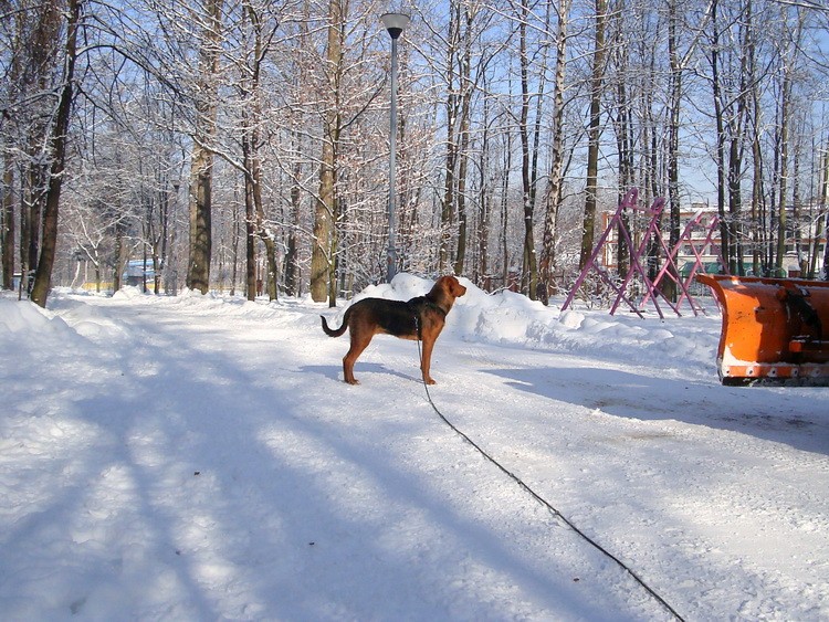 dsc09123resize.jpg