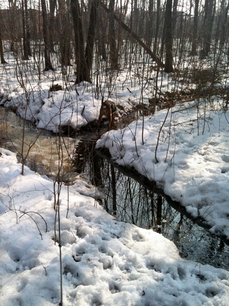 img0218resize.jpg