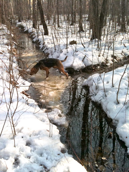 img0219resize.jpg