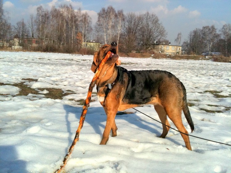 img0231resize.jpg
