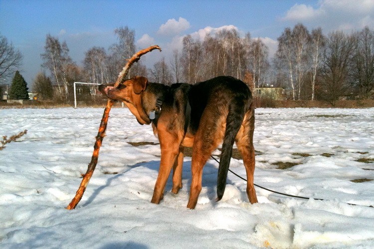 img0239resize.jpg