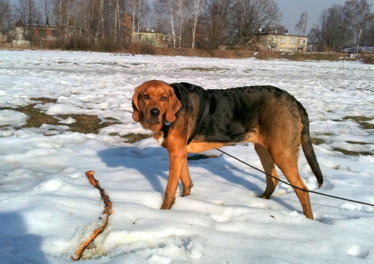 img0233resize.jpg
