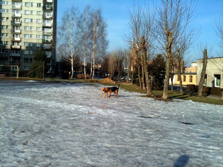img0240resize.jpg