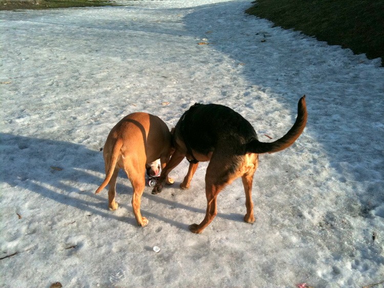 img0242resize.jpg