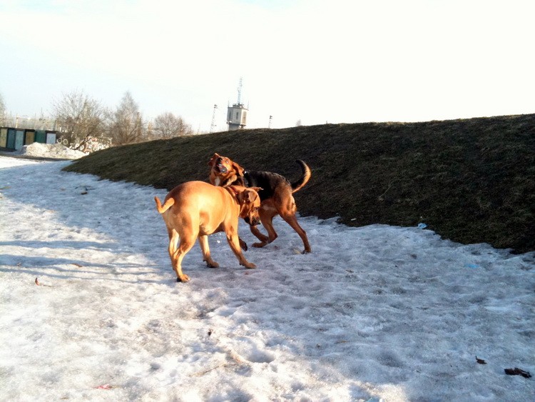 img0244resize.jpg
