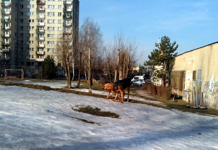 img0245resize.jpg