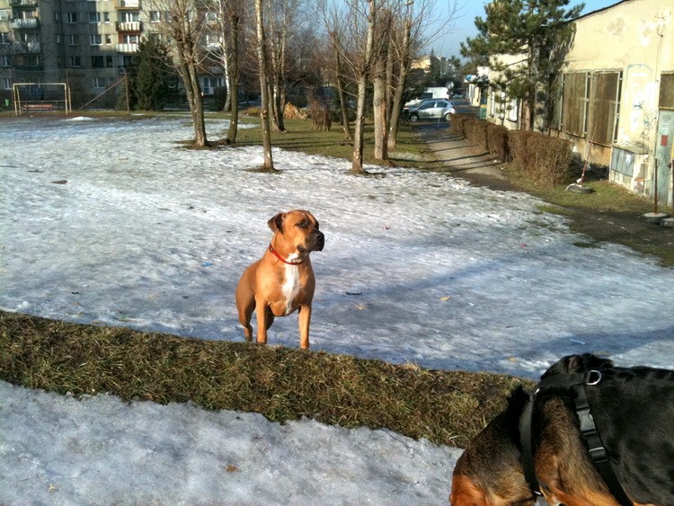 img0246resize.jpg