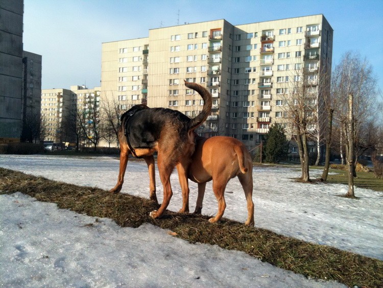 img0247resize.jpg