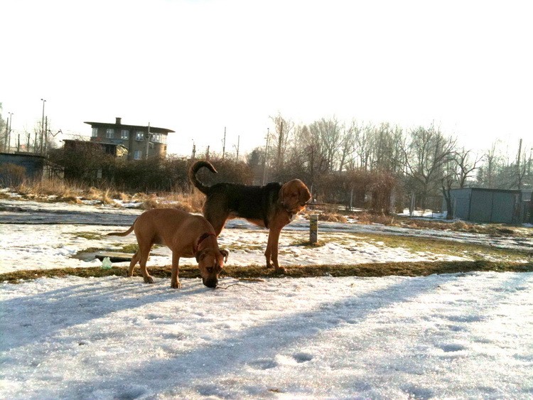 img0248resize.jpg