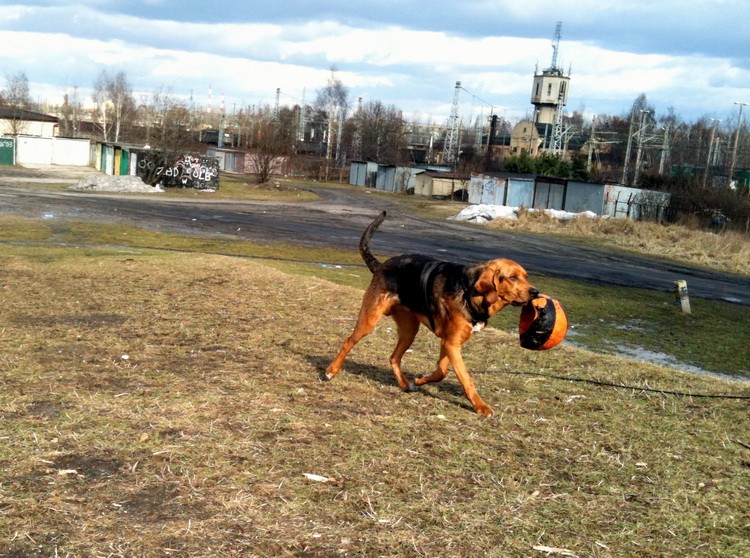 img0250resize.jpg