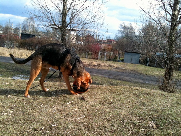 img0251resize.jpg