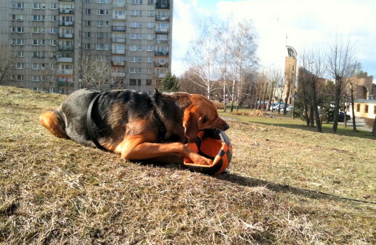 img0252resize.jpg