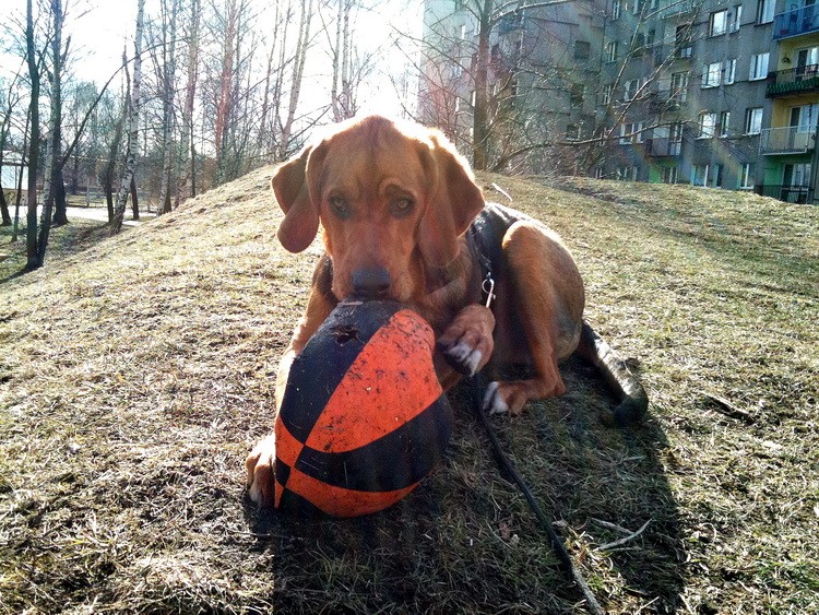 img0254resize.jpg